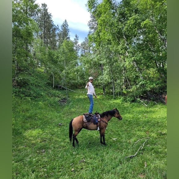 MEET YOUR POSHER - Picture 6 of 12